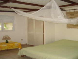 Bungalows - Ferienhuser - Hotels - Appartements - Guadeloupe