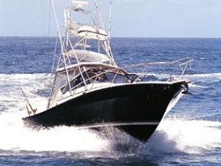 Bungalows - Ferienh�user - Hotels - Appartements - Guadeloupe