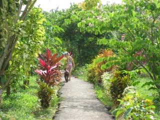 Unterkünfte Bungalows - Ferienhäuser - Hotels - Appartements - Guadeloupe