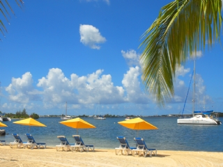 Bungalows - Ferienh�user - Hotels - Appartements - Guadeloupe