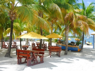 Bungalows - Ferienh�user - Hotels - Appartements - Guadeloupe