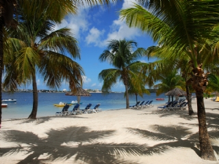 Bungalows - Ferienh�user - Hotels - Appartements - Guadeloupe