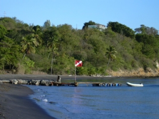 Bungalows - Ferienh�user - Hotels - Appartements - Guadeloupe