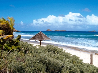 Bungalows - Ferienh�user - Hotels - Appartements - Guadeloupe